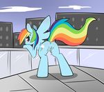  2012 anus butt city collar cum cum_in_pussy cum_inside cutie_mark equine female friendship_is_magic hair horse looking_at_viewer looking_back multi-colored_hair my_little_pony pegasus plain_background pony pussy rainbow_dash_(mlp) rainbow_hair smitty_g socks solo tongue wings 