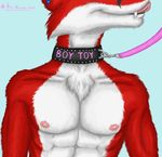  abs ace_stryker anthro canine collar fit fox leash male mammal nipples solo tongue 
