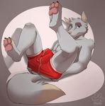  biceps blue_eyes briefs bulge canine claws clothing fasttrack37d fur green_eyes grey_body heterochromia jase legs_up lying male mammal muscles on_back pawpads paws pecs pose presenting relaxing shorts solo topless underwear undressing wolf 