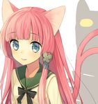  animal_ears bad_id bad_pixiv_id blue_eyes cat_ears cat_tail collarbone cropped fang forked_tail hair_ornament ichijou_kokona long_hair midorikawa_you multiple_tails original pink_hair solo speech_bubble tail upper_body 