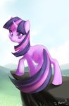 equine female feral friendship_is_magic fur hair horn horse jiayi looking_at_viewer looking_back mammal my_little_pony pony purple_eyes purple_fur sky smile solo twilight_sparkle_(mlp) two_tone_hair unicorn water 