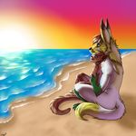  beach blue_eyes breasts canine cute dhari dhari_(character) duo feline female fennec fox invalid_tag kiara_(character) linkaton-furaito linkaton_furaito_(artist) love male mammal paradise sea seaside straight summer sunset water yellow_eyes 