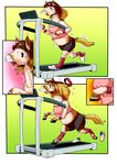  edmol equine female hors horse mammal runningmachine transformation treadmill 