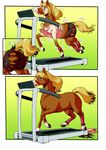  edmol equine horse mammal runningmachine transformation treadmill 