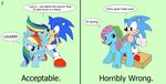  3pac black_eyes crossover cutie_mark equine friendship_is_magic green_eyes hair hedgehog horse multi-colored_hair my_little_pony pegasus pony rainbow_dash_(mlp) rainbow_hair sega sex sonic_(series) sonic_the_hedgehog wings 