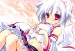  animal_ears bare_shoulders blush detached_sleeves hikanyan inubashiri_momiji navel red_eyes short_hair skirt smile solo tail touhou white_hair wolf_ears wolf_tail 