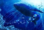  bad_id bad_pixiv_id blue bubble fish no_humans ocean original sunlight teco underwater water whale 