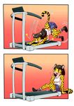  amber_eyes anthro breasts cheetah comic edmol feline female gender_transformation humor mammal mtf sweat transformation transgender treadmill 