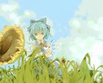  bad_id bad_pixiv_id blue_hair bow cirno cloud day flower ice noise_(hakusen) ribbon short_hair sky solo sunflower touhou wings 