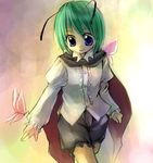  antennae asahina blue_eyes bug butterfly cape green_hair insect solo touhou wriggle_nightbug 