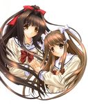  bangs black_hair blunt_bangs blush bow bowtie brown_eyes brown_hair hair_bow hair_intakes kimizuka_aoi long_hair long_sleeves lost_passage multiple_girls ponytail red_bow red_neckwear school_uniform simple_background upper_body usa_mizuki white_background yamabuki_sayuki 