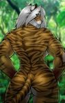  back_turned big_butt breasts butt complex_background feline female green_eyes hair looking_at_viewer looking_back mammal muscles muscular_female nature outside side_boob smile solo standing stripes strype teeth tiger white_hair 