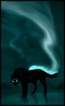  ambiguous_gender aura black black_body blajn blue_eyes canine feral fire glowing glowing_eyes gryph000 light looking_at_viewer magic mammal night outside shadow sky solo stars wolf 