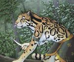  clouded_leopard dagger detailed_background ear_piercing feline female mammal myenia panther piercing sneaking weapon whiskers 
