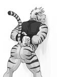  anus backsack balls bdsm biceps big_muscles black_stripes blush bondage bottomless bound clothed clothing cuffs feline fur grey_eyes hair half-dressed looking_at_viewer looking_back male mammal muscles open_mouth pose presenting raised_tail solo tiger unknown_artist vest white_fur white_hair white_tiger 