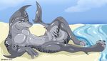  abs anthro balls beach biceps blue_eyes body_markings claws erection fish grin ignigeno looking_at_viewer lying male marine markings muscles nude pecs penis pose requinus sand scales sea seaside shark solo stripes tiger_shark toe_claws vein water 