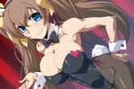  animal_ears blue_eyes blush bow bowtie breasts brown_hair bunny_ears bunny_girl bunnysuit cleavage earrings huang_lingyin infinite_stratos jaga_note jewelry large_breasts long_hair looking_at_viewer pantyhose smile solo tail twintails 