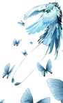  ambiguous_gender avian beak bird blue_theme butterflies butterfly feathers feral insect pira plain_background white_background 