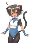  :d absurdres animal_ears black_hair blush bodysuit breasts cat_ears cat_tail dancho_(dancyo) fang fingerless_gloves gloves highres looking_at_viewer open_mouth original pantyhose red_eyes short_hair simple_background small_breasts smile solo tail tan white_background 