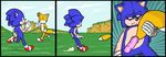  anthro black_nose buttplug buttplug_tail canine coal_(artist) comic dildo fox fox_tail hedgehog humor innuendo male mammal miles_prower multiple_tails sega sex_toy sonic_(series) sonic_the_hedgehog tails the_truth 