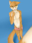  foxcat imeow lost-paw panties smirk underwear 