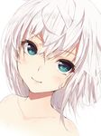  blush green_eyes highres looking_at_viewer nude okino_ryuuto original simple_background smile solo white_background white_hair 