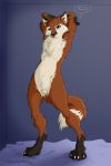  blue_eyes canine fox ghhusky jerrin_phox male mammal nude pose sheet_(disambiguation) simple_background solo suggestive_pose 