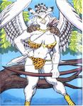  anthro avian big_breasts bikini bird black_feathers bow_(weapon) bra branch breasts clothed clothing colored eagle feathered_wings feathers female harpy_eagle leaves looking_at_viewer necklace oscar_marcus pinup plume pose quiver ranged_weapon skimpy solo spread_wings striped_feathers swimsuit tight_clothing tree underwear weapon white_feathers wings wood yellow_clothing yellow_eyes 