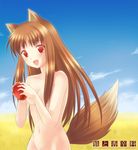  6u_(eternal_land) :d animal_ears apple brown_hair cloud copyright_name day fang food fruit groin holding holding_food holding_fruit holo long_hair navel nude open_mouth red_eyes sky smile solo spice_and_wolf tail wheat_field wolf_ears wolf_tail 