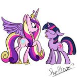  friendship_is_magic my_little_pony princess_cadence shelltoon twilight_sparkle 