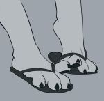  4_toes ambiguous_gender claws clothing deviantchump flip_flops foot_focus foot_shot footwear pawpads sandals toe_claws toes unknown_species 