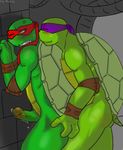  donatello raphael tagme teenage_mutant_ninja_turtles 
