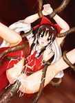  reimu_hakurei tagme touhou 