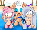  amy_rose greymelon rouge_the_bat sonic_team tagme 