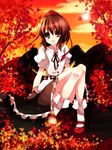  autumn brown_hair hat kokoro_na looking_at_viewer nature open_mouth shameimaru_aya smile solo touhou 