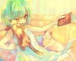  ame_yamori bad_id bad_pixiv_id blush book cat green_hair macross macross_frontier notebook one_eye_closed pen ranka_lee short_hair smile solo strap_slip 