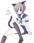  animal_ears cat_ears kimarin kneehighs looking_at_viewer oekaki original school_uniform serafuku socks solo tail 