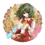  arata_iri ascot bad_id bad_pixiv_id flower green_hair kazami_yuuka petals red_eyes ribbon short_hair solo sunflower touhou vest 