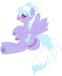  cloudchaser friendship_is_magic my_little_pony tagme 
