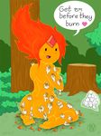  adventure_time coldfusion flame_princess tagme 