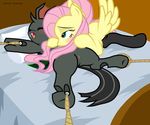  changeling fluttershy friendship_is_magic my_little_pony pyruvate 