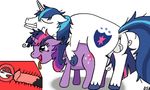  animated dsninja friendship_is_magic my_little_pony shining_armor twilight_sparkle 