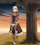  cloud febronia ohse short_hair silver_hair sky solo star_(sky) starry_sky sunset tree xenosaga xenosaga_episode_iii 