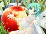  :t apple back bangs blush bracelet dress eating fairy fairy_wings flipped_hair food food_on_face from_side fruit game_cg grass green_eyes green_hair hair_bobbles hair_ornament hatozuki_tsumiki holding holding_food holding_fruit ikusa_megami_(series) ikusa_megami_zero jewelry leaf looking_at_viewer looking_back minigirl on_ground outdoors pazmo_menesis rock see-through short_hair sitting solo two_side_up white_dress wide_sleeves wings 