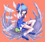  blue_hair bow cirno feathers frog ice kab ribbon short_hair solo touhou wings 