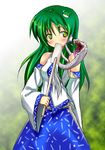  blush green_eyes green_hair kochiya_sanae long_hair snake solo touhou tsujigiri 