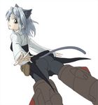  animal_ears ass black_legwear looking_back lowres pantyhose sanya_v_litvyak solo strike_witches striker_unit tail world_witches_series you2 