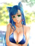  animal_ears bikini blue_hair braid breasts cleavage green_eyes large_breasts long_hair original side_braid solo swimsuit ueyama_michirou 