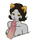  animated homestuck ms_paint_adventures nepeta_leijon sharona 