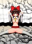  reimu_hakurei tagme touhou 